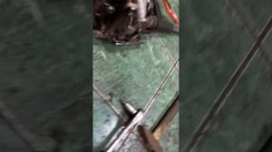 эур шкода рапид в ниву.