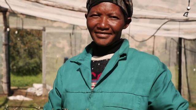 День биоразнообразия, 22 мая 2022 г. смотреть онлайн