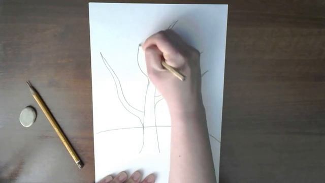 Поэтапное рисование дерева карандашом смотреть онлайн