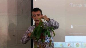 Растения хищники