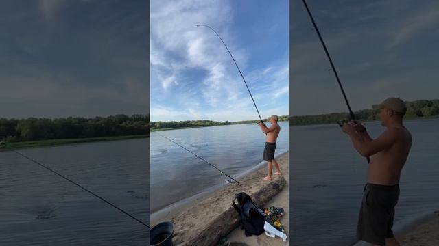 Рыбалка на фидер на реке #рыбалка #отдых #природа #фидер смотреть онлайн