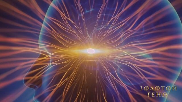 33 кода активации шишковидной железы. ИСЦЕЛИ СВОЙ МОЗГ. Камаллая Хефорс
