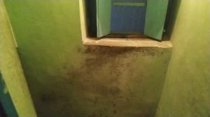 Индия и ее жители/один день из индийской деревенской жизни/особенности быта в индийской деревни