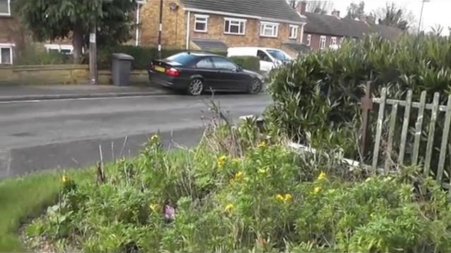 Gerrys Front Garden Plus new blue Clematis 10 02 2016 смотреть онлайн