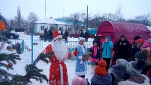 Ёлочки - пенечки