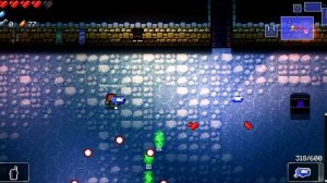 ВЕСЬ ENTER THE GUNGEON ЗА 8 МИНУТ