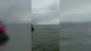 Рыбалка на Де-фризе, ловля саргана 21.06.2021.