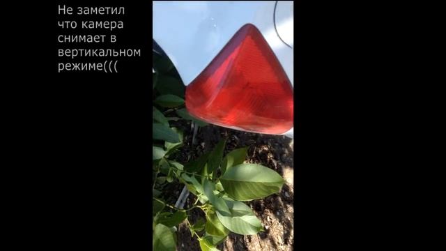 Замена чехлов Шкода фабия и что говорят официалы SKODA