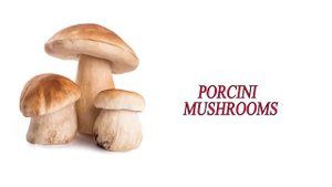 АНГЛИЙСКИЙ (Types of Mushroom)