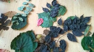 Аппликация из осенних листьев  "Мама Осень"!