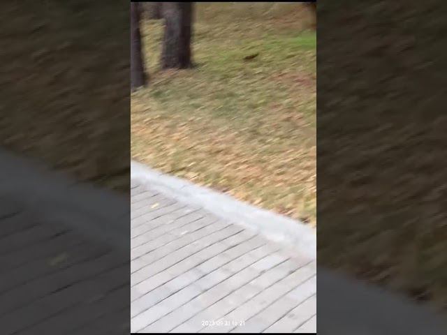 21 сентября 2023 г. смотреть онлайн