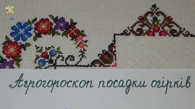 Агрогороскоп посадки огурцов в мае 2023 года. Агрогороскоп посіву насіння огірків в травні 2023 рок смотреть онлайн