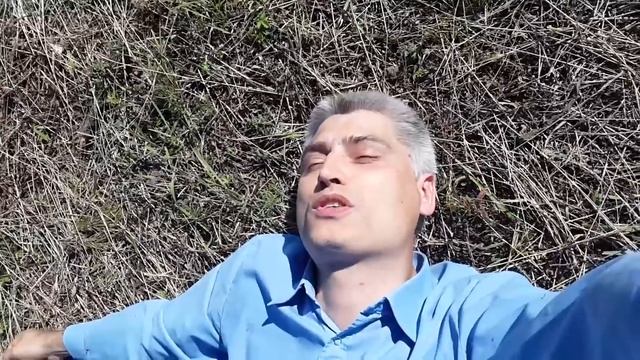 Рыжики. Поход за рыжиками. Искать рыжики. Найти рыжики. Засолить рыжики. Хранить рыжики.