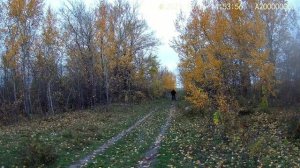 Первая покатуха на мопеде Рига 13