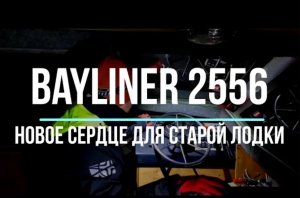 Bayliner 2556. Дизель Hyundai Seasall s250