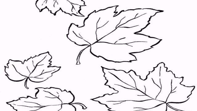 Кленовые Листья Поделка Своими Руками смотреть онлайн