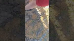 Запускаем самолёт на пульте управления