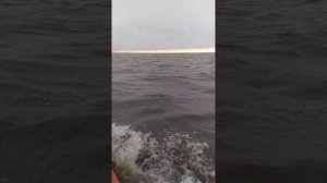 Осень Волна Казанка с булями.