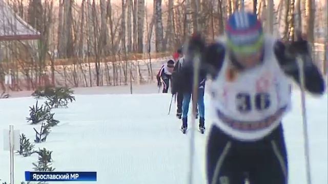 Под Ярославлем стартовал чемпионат ЦФО по лыжным гонкам смотреть онлайн