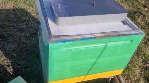 Что если  кормить зимой пчел жидким медом (эксперимент).Погибнут или нет.