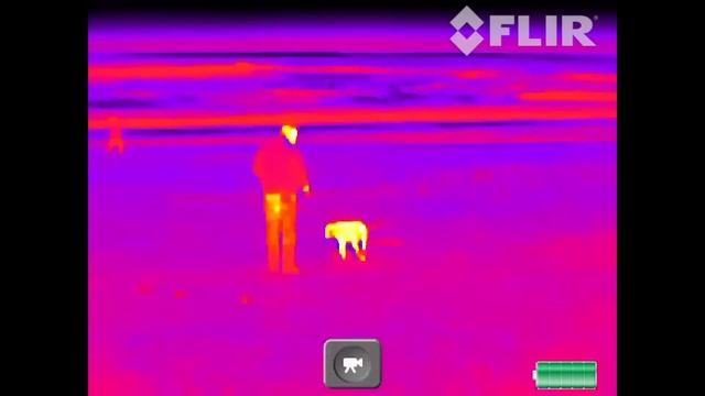 FLIR Scout TK Sample: Man & Dog on Beach смотреть онлайн