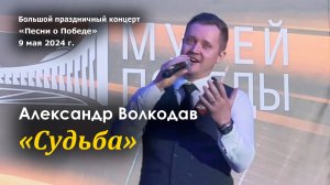 "Судьба" Александр Волкодав - концерт "Песни о Победе" Музей Победы 9.05.24 #деньпобеды #9мая