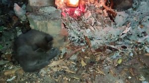 Уха из хребтов красной рыбы???