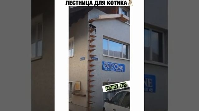 Лестница для кота ??