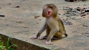 Where Is Mama Libby? Why She Leave Her Baby Alone Like This?