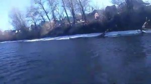 catfish 290 И hangkai 6