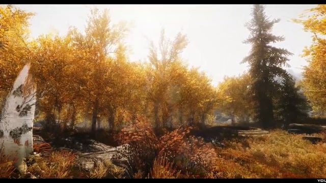 TES V - Skyrim Mods: Skysight - Simply Bigger Trees / 21:9 Test смотреть онлайн