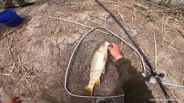 РЫБАЛКА НА СРЕДНЕМ КАНАЛЕ смотреть онлайн