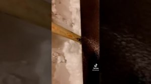 дверные откосы