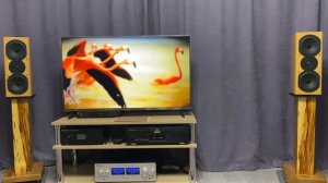 RUSICH RE 250+Marantz DV 7001+Visonik Evolution +AcusticLab