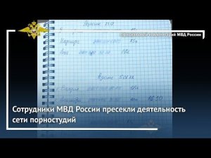 Ирина Волк: Сотрудники МВД России пресекли деятельность сети порностудий