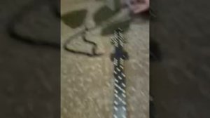 обучение игры пяточки