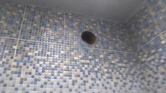 Сверление красного кирпича смотреть онлайн