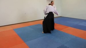 братислав стаич