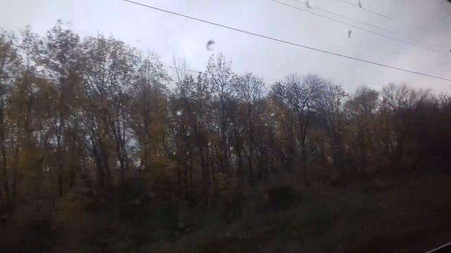 Лазаревское пока🚂🌴🌴Красота из окна поезда🌳🌲🌳
