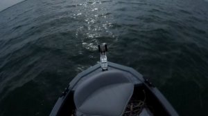 Волжанка 46 фиш 2019 и мотор Mercury 50, обзор моего нового катера :)