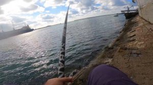Лов кефали(чуларки) в порту на поплавок. Черное море г. Туапсе.