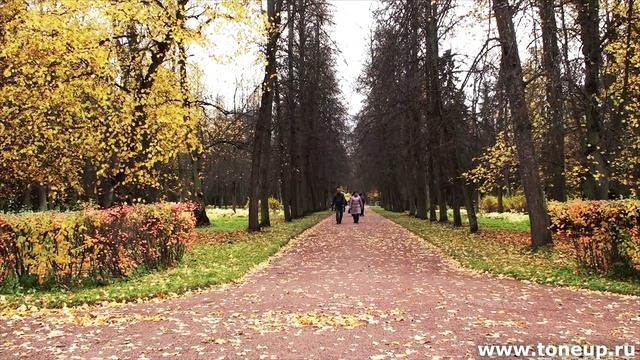 Экскурсия по парку г. Ломоносова (Ораниенбаума)