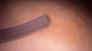 Микроскоп  для пайки. Макро через МБС-1.