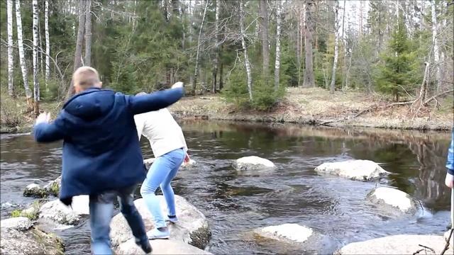 Мой дневник№3 (Линдуловская роща) Убежать от медведя?! Легко!) СПБ-ЛО.