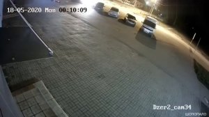 В Ярославле ночью медведь напал на человека.