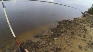 ЯЗЬ НА КУКУРУЗУ! ТАК МНОГО Я ЕЩЕ НЕ ЛОВИЛ! Рыбалка на донки! Рыбалка на реке Обь. Часть 2