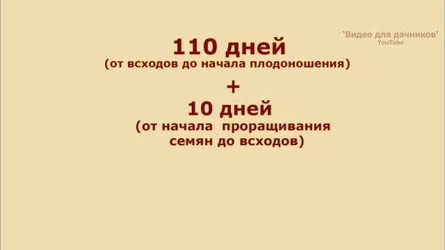 Когда сажать Перец на рассаду в 2023 году смотреть онлайн