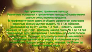 Цветочная пыльца полезные свойства