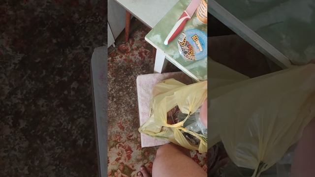 что я купил из едьбы #2 смотреть онлайн