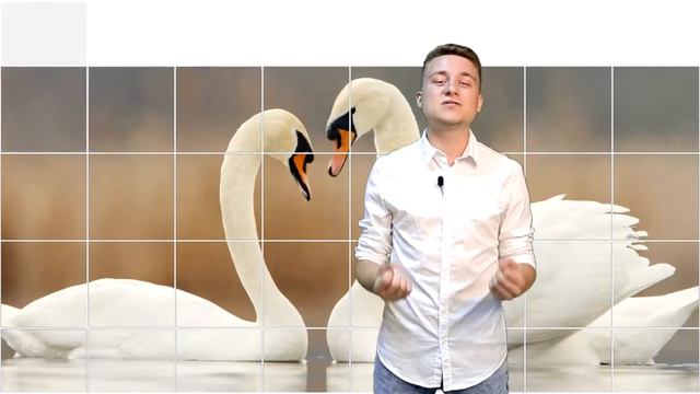 #МояРоссия: Алтайский край